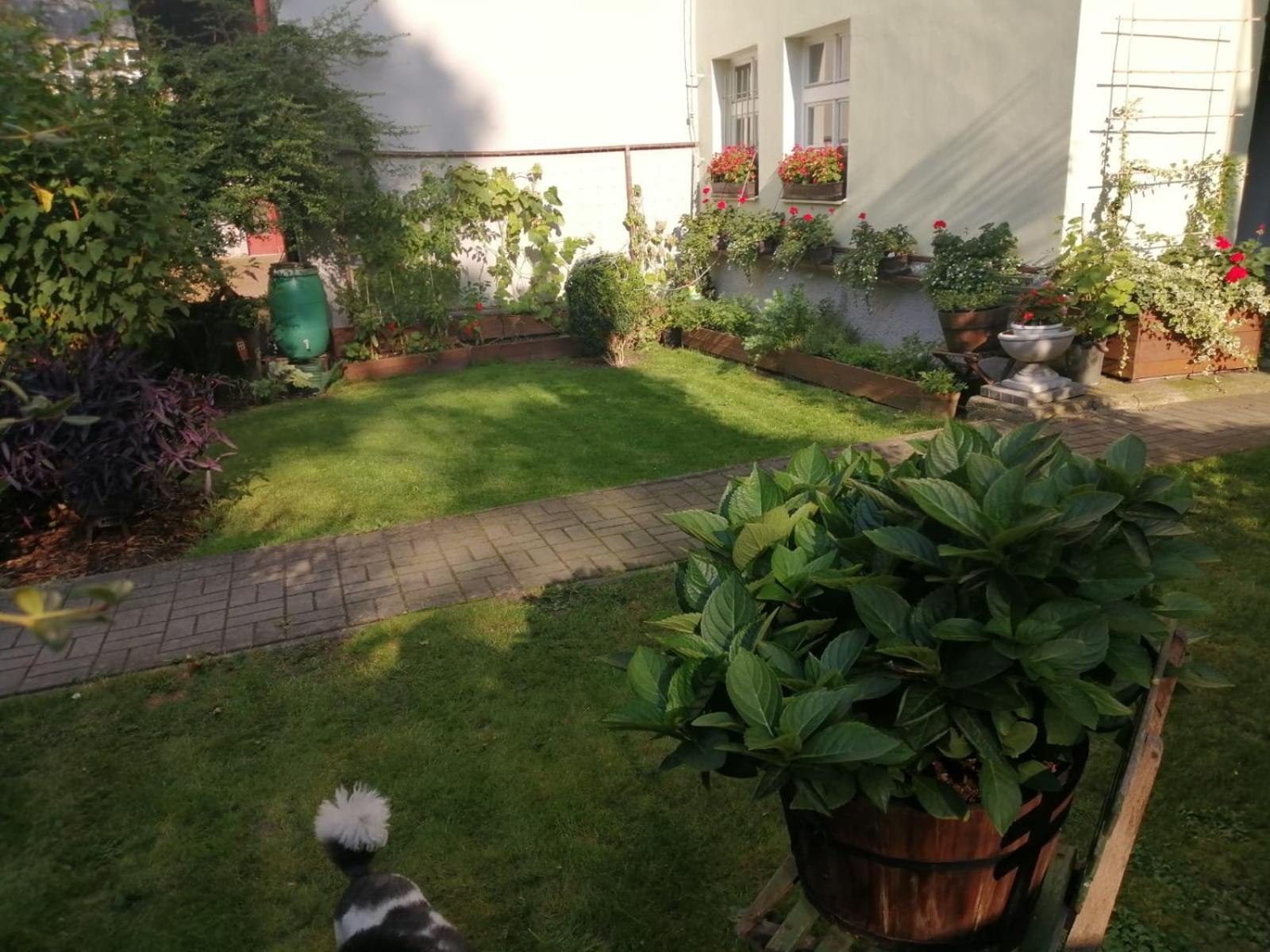 Apartman Deluxe Cheb Dış mekan fotoğraf