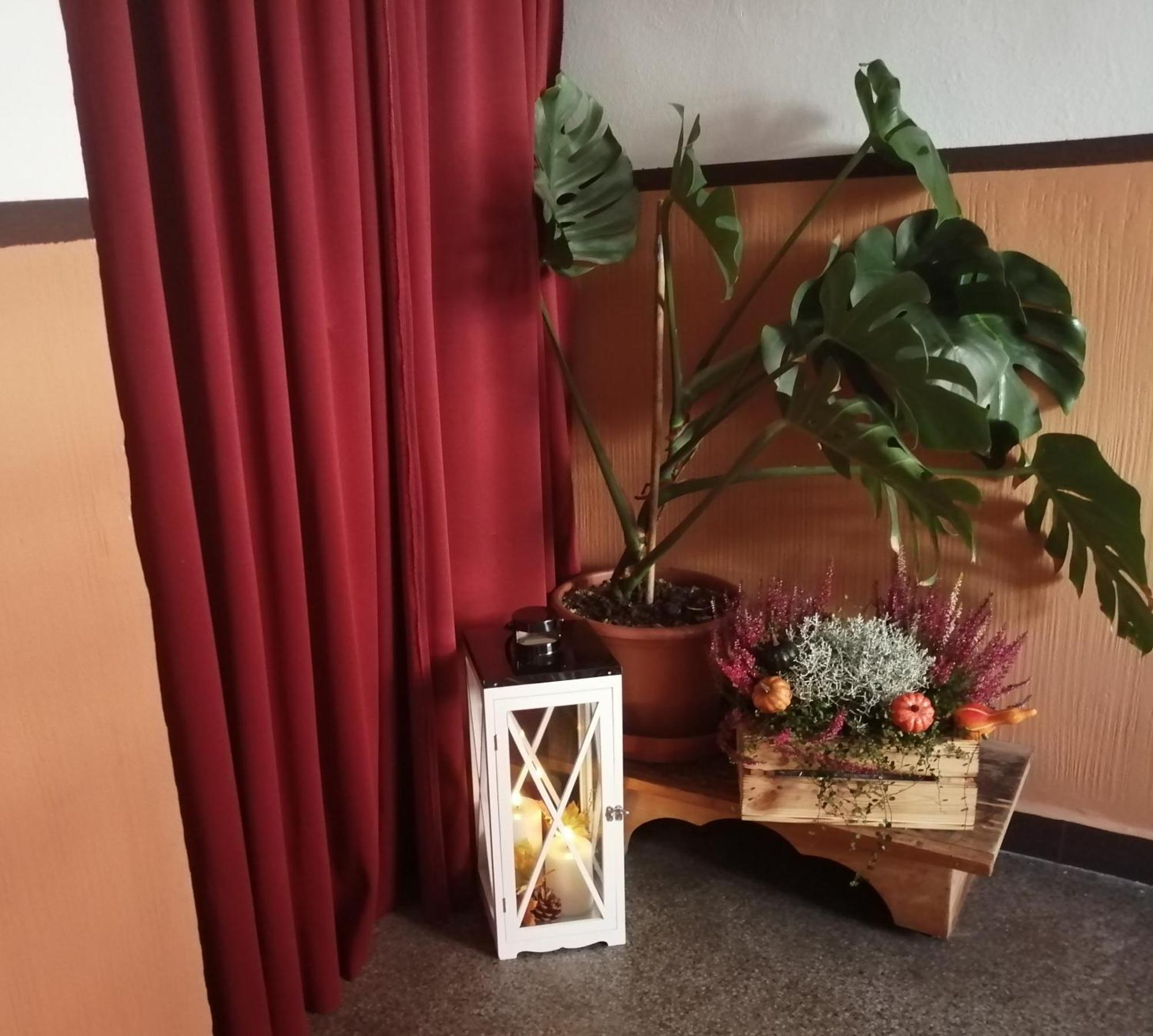 Apartman Deluxe Cheb Dış mekan fotoğraf